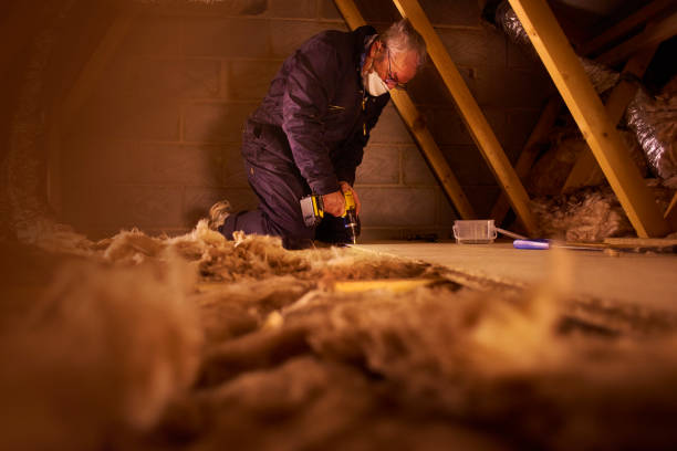 Best Commercial Insulation in Johnson City, NY